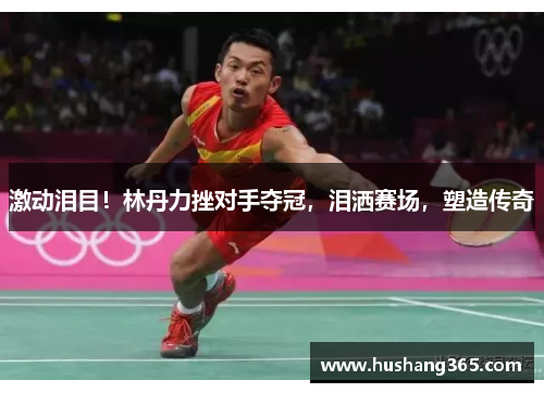 激动泪目！林丹力挫对手夺冠，泪洒赛场，塑造传奇