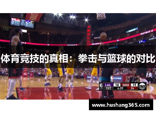 体育竞技的真相：拳击与篮球的对比